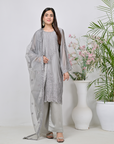CA-1073-S Gray