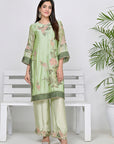 CA-1074-S