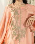 CA-1079-S