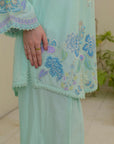 CA-1161-S